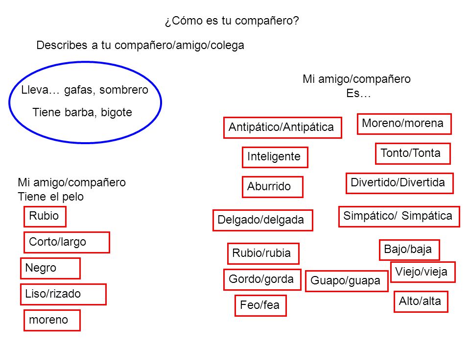 ¿Cómo es tu compañero Describes a tu compañero/amigo/colega. Mi amigo/compañero. Es… Lleva… gafas, sombrero.