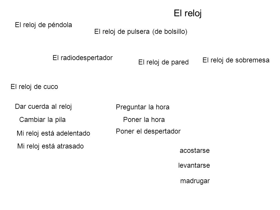 El reloj El reloj de péndola El reloj de pulsera (de bolsillo)
