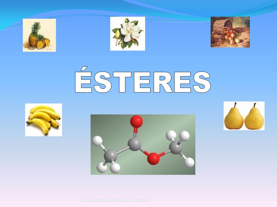 ÉSTERES Licda. Bárbara Toledo de Chajón