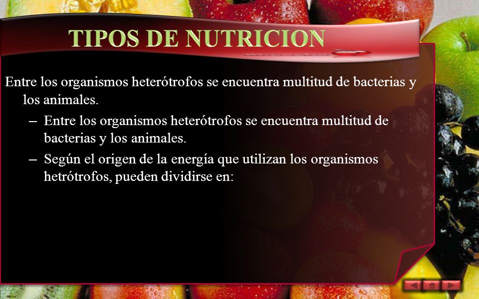 TIPOS DE NUTRICION Entre los organismos heterótrofos se encuentra multitud de bacterias y los animales.