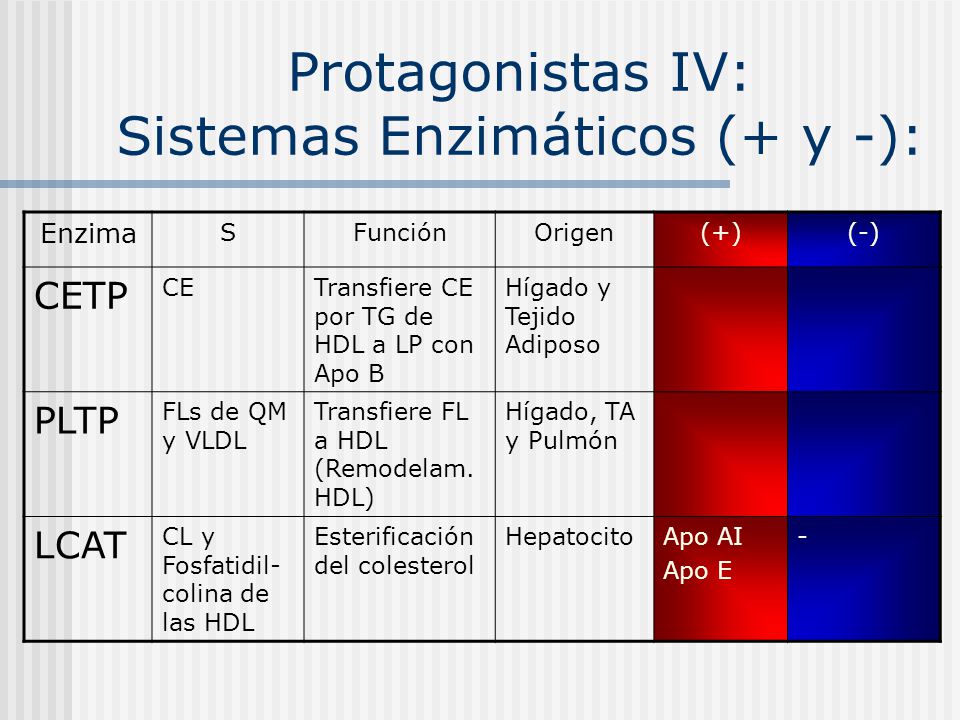 Protagonistas IV: Sistemas Enzimáticos (+ y -):