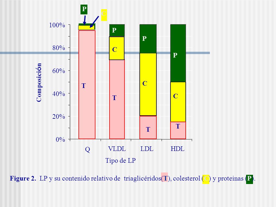 C P. T. 100% T. P. C. C. P. T. C. P. T. 80% 60% Composición. 40% 20% 0% Q. VLDL.