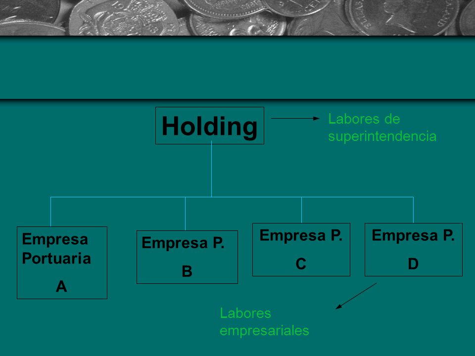 Holding Empresa P. C Empresa P. D Empresa Portuaria A Empresa P. B