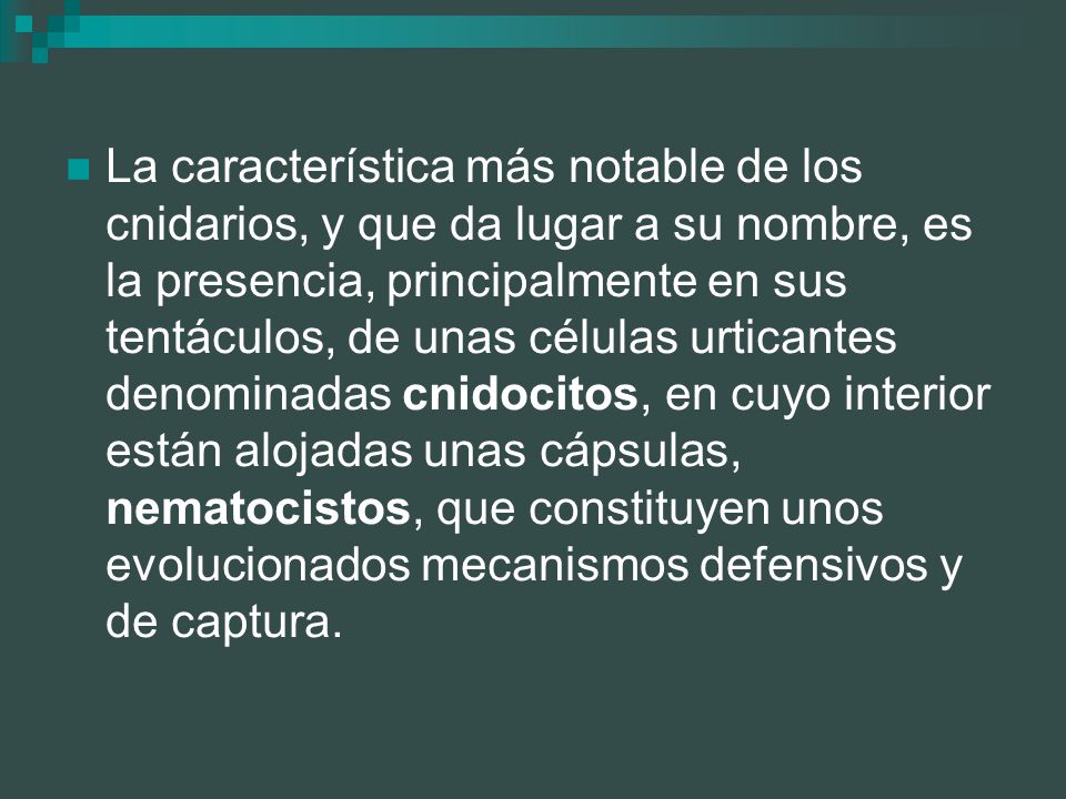 La característica más notable de los cnidarios, y que da lugar a su nombre, es la presencia, principalmente en sus tentáculos, de unas células urticantes denominadas cnidocitos, en cuyo interior están alojadas unas cápsulas, nematocistos, que constituyen unos evolucionados mecanismos defensivos y de captura.