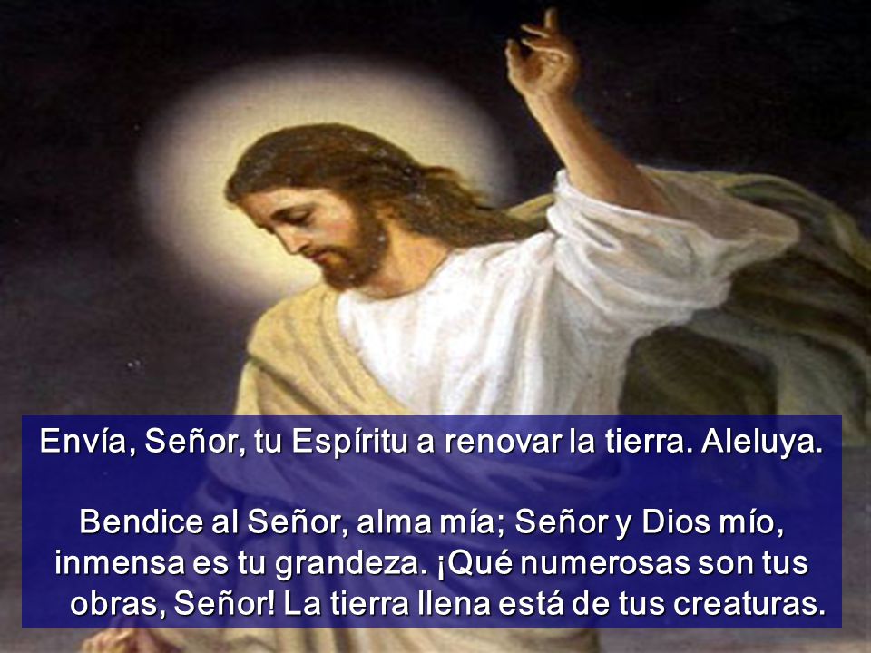 Envía, Señor, tu Espíritu a renovar la tierra. Aleluya.