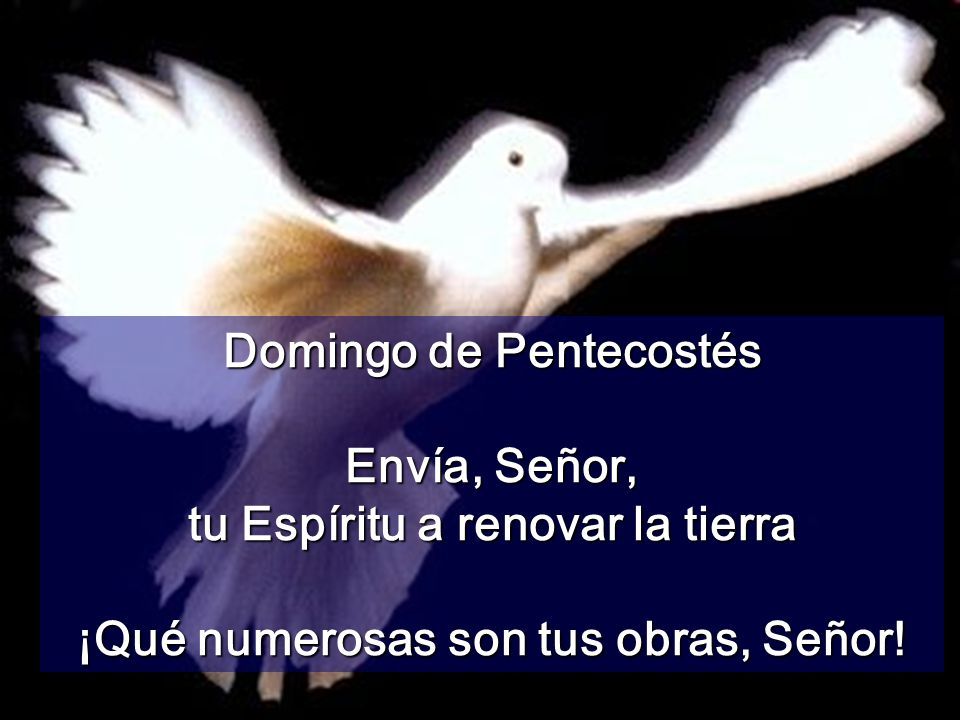 Domingo de Pentecostés Envía, Señor, tu Espíritu a renovar la tierra
