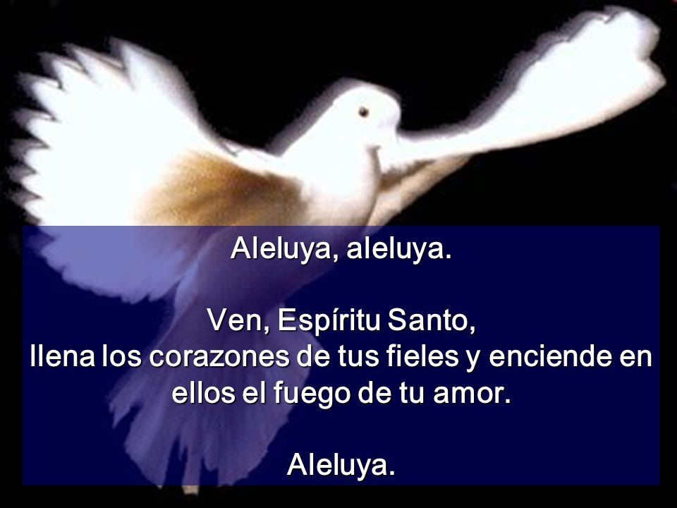 Aleluya, aleluya. Ven, Espíritu Santo, llena los corazones de tus fieles y enciende en ellos el fuego de tu amor.