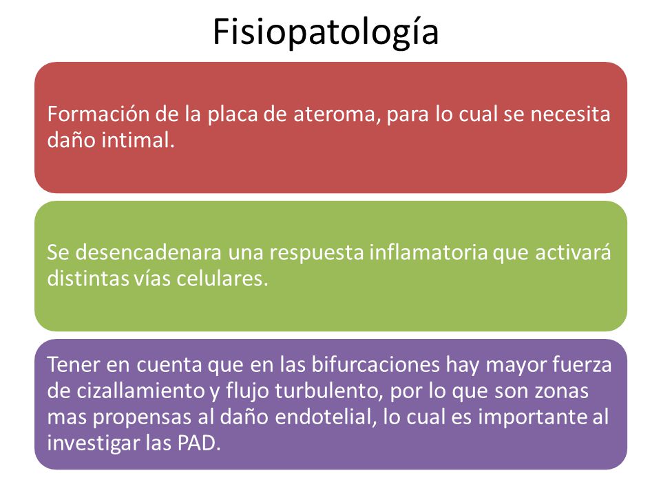 Fisiopatología Formación de la placa de ateroma, para lo cual se necesita daño intimal.