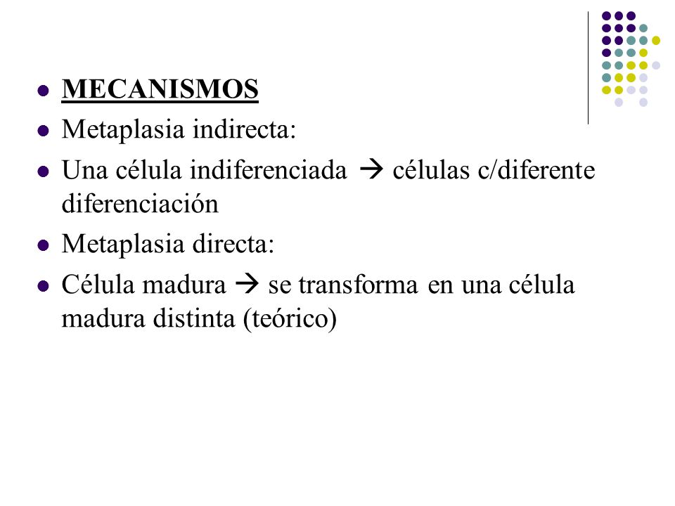 MECANISMOS Metaplasia indirecta: Una célula indiferenciada  células c/diferente diferenciación. Metaplasia directa: