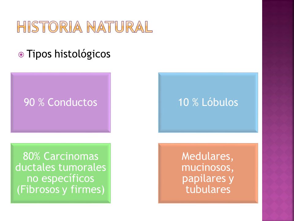 HISTORIA NATURAL Tipos histológicos 90 % Conductos 10 % Lóbulos