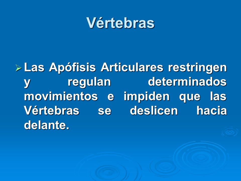 Vértebras Las Apófisis Articulares restringen y regulan determinados movimientos e impiden que las Vértebras se deslicen hacia delante.