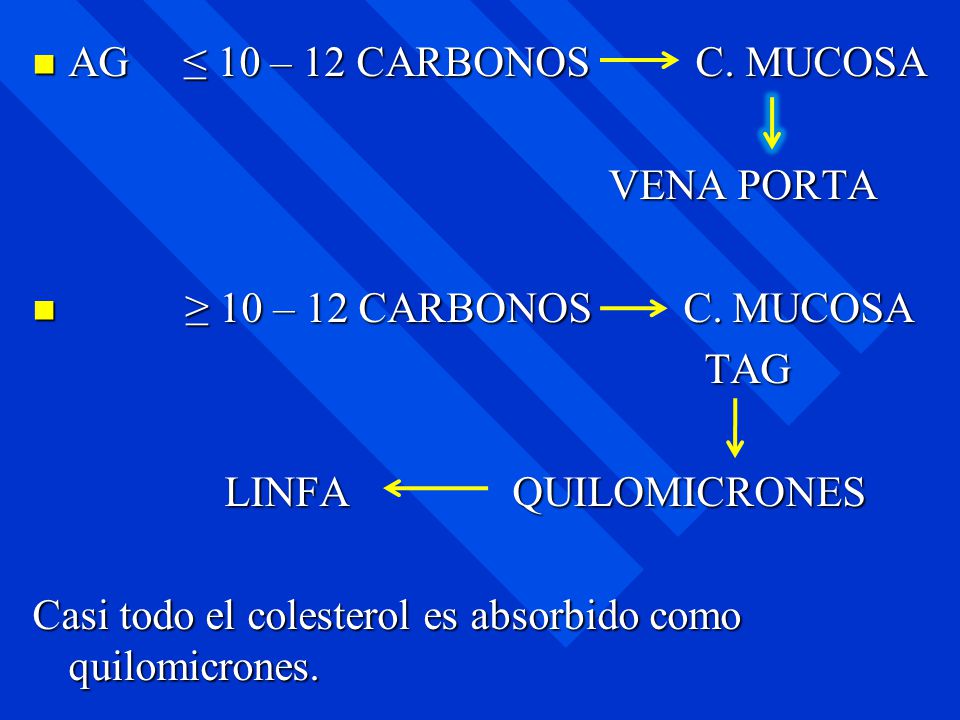 AG ≤ 10 – 12 CARBONOS C. MUCOSA VENA PORTA. ≥ 10 – 12 CARBONOS C. MUCOSA. TAG.