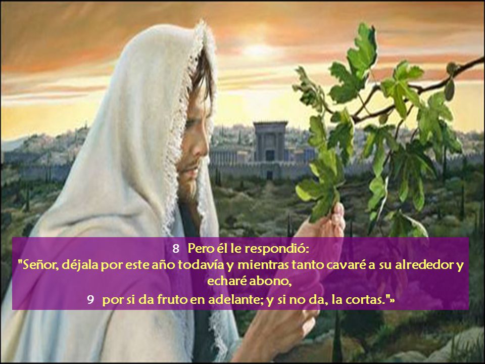 9 por si da fruto en adelante; y si no da, la cortas. »
