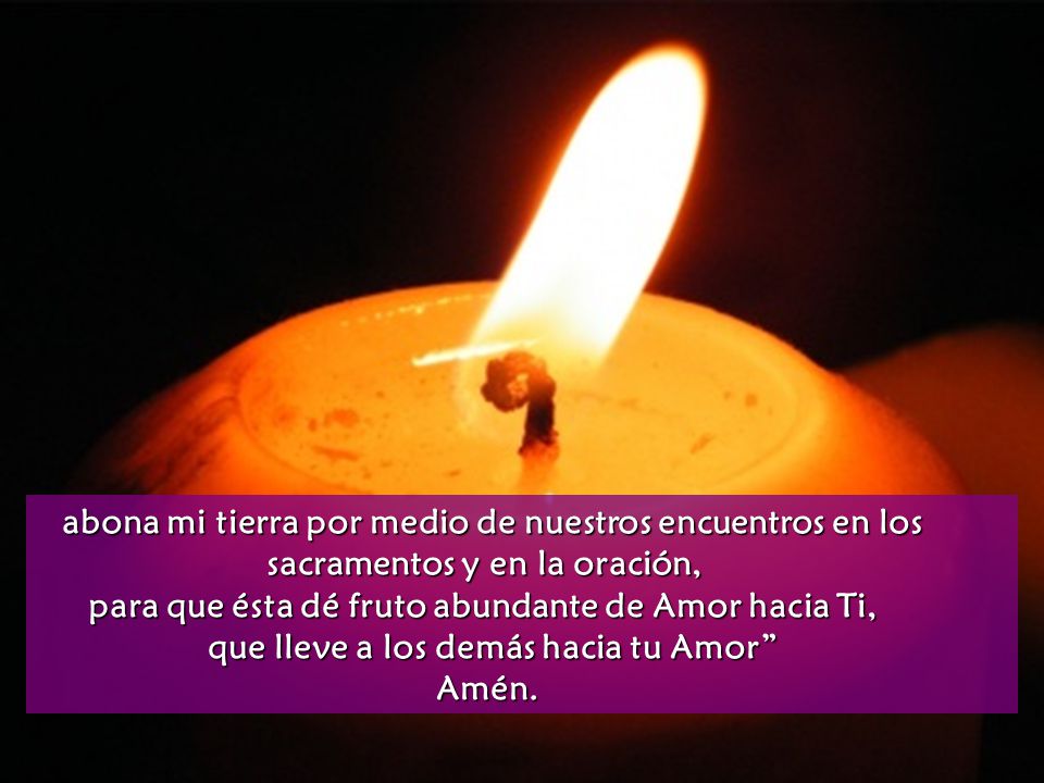 para que ésta dé fruto abundante de Amor hacia Ti,