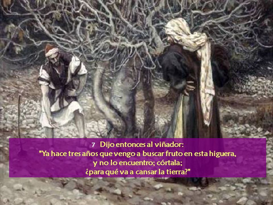 Ya hace tres años que vengo a buscar fruto en esta higuera,