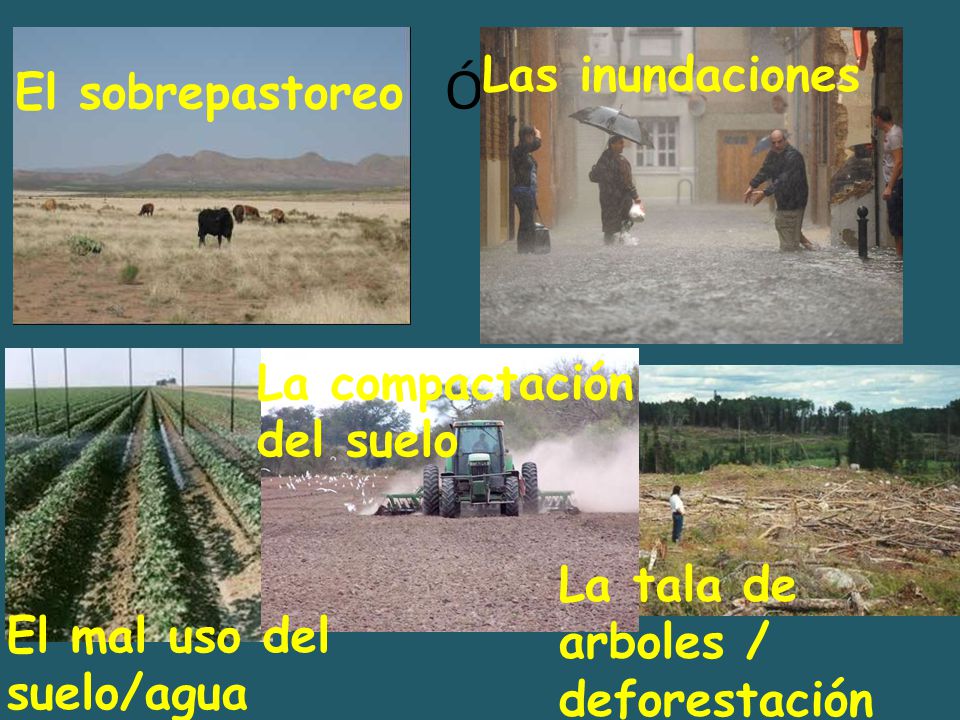 Ón Las inundaciones El sobrepastoreo La compactación del suelo