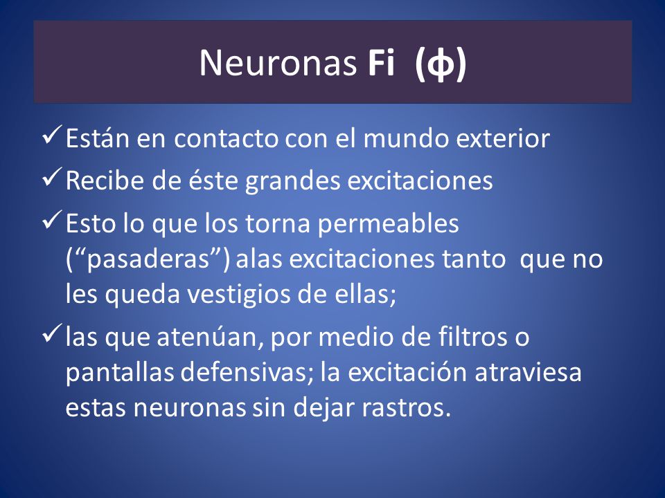 Neuronas Fi (φ) Están en contacto con el mundo exterior