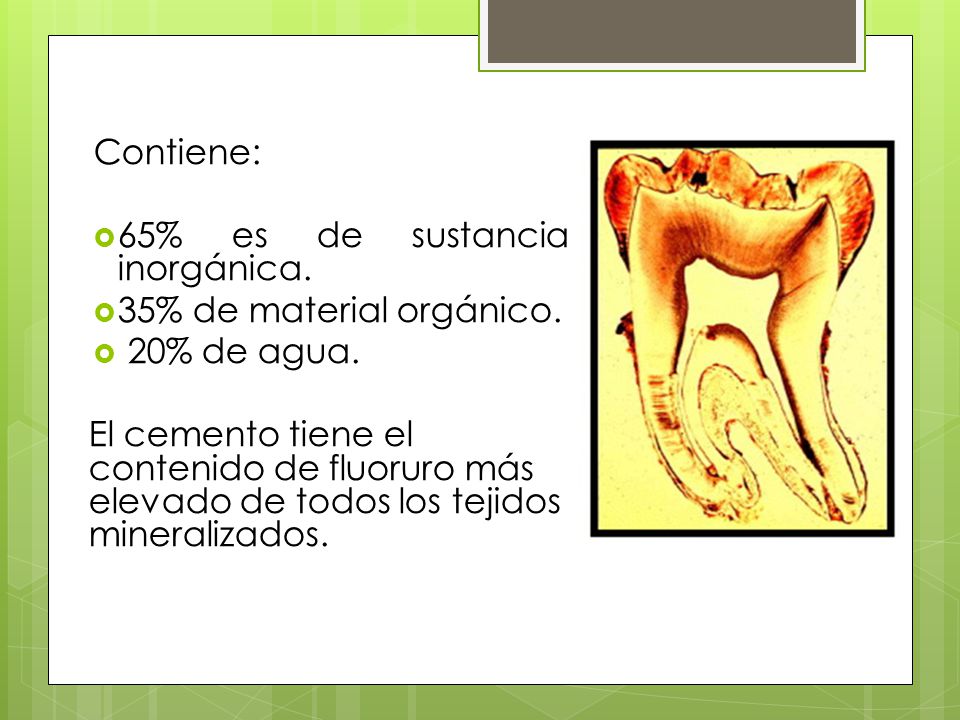 Contiene: 65% es de sustancia inorgánica. 35% de material orgánico. 20% de agua.