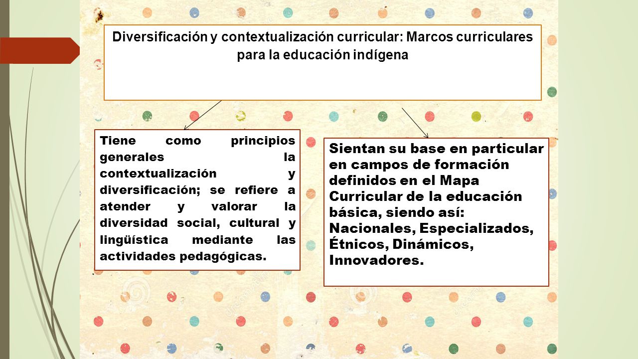 Diversificación y contextualización curricular: Marcos curriculares para la educación indígena