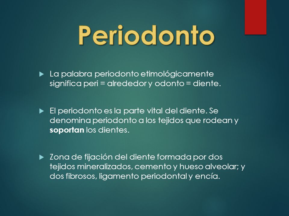 Periodonto La palabra periodonto etimológicamente significa peri = alrededor y odonto = diente.