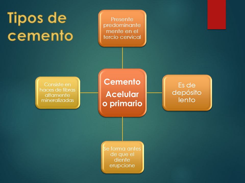 Tipos de cemento Cemento Acelular o primario Es de depósito lento