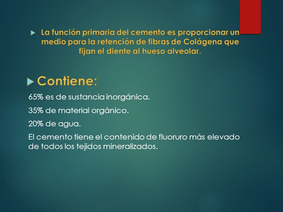 La función primaria del cemento es proporcionar un medio para la retención de fibras de Colágena que fijan el diente al hueso alveolar.