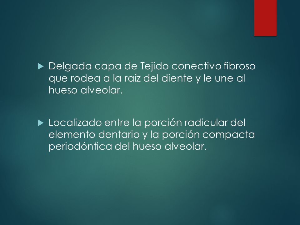 Delgada capa de Tejido conectivo fibroso que rodea a la raíz del diente y le une al hueso alveolar.