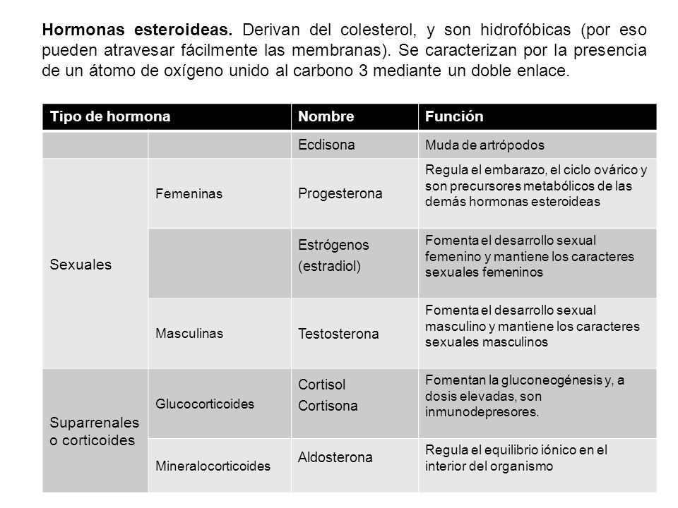 Hormonas esteroideas. Derivan del colesterol, y son hidrofóbicas (por eso pueden atravesar fácilmente las membranas). Se caracterizan por la presencia de un átomo de oxígeno unido al carbono 3 mediante un doble enlace.