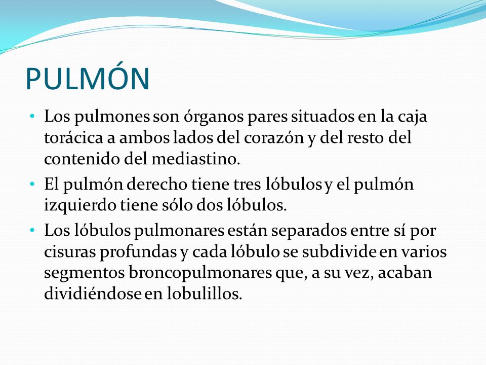 PULMÓN Los pulmones son órganos pares situados en la caja torácica a ambos lados del corazón y del resto del contenido del mediastino.