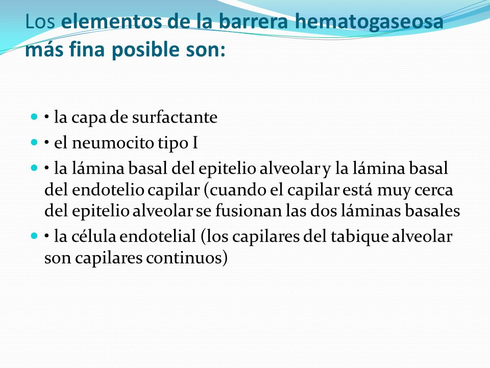 Los elementos de la barrera hematogaseosa más fina posible son: