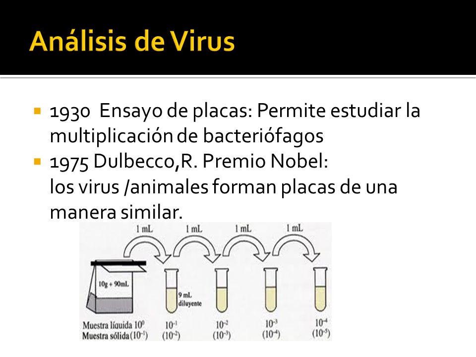 Análisis de Virus 1930 Ensayo de placas: Permite estudiar la multiplicación de bacteriófagos Dulbecco,R. Premio Nobel: