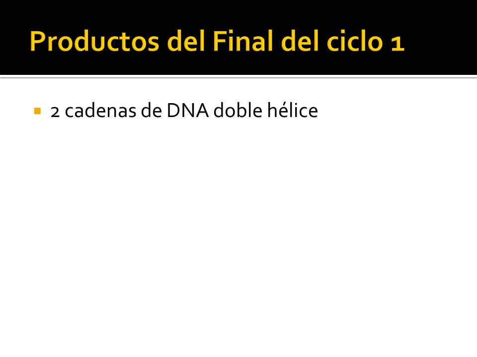 Productos del Final del ciclo 1