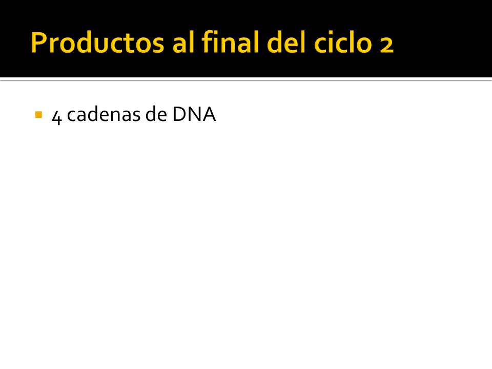 Productos al final del ciclo 2
