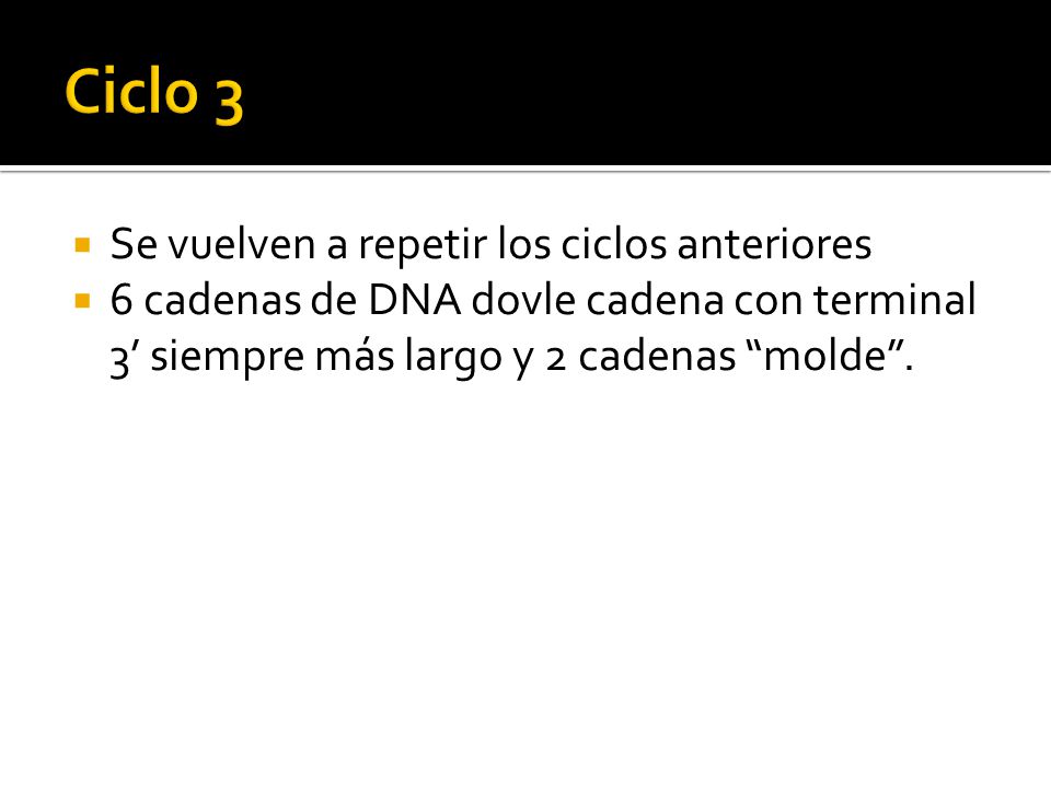 Ciclo 3 Se vuelven a repetir los ciclos anteriores