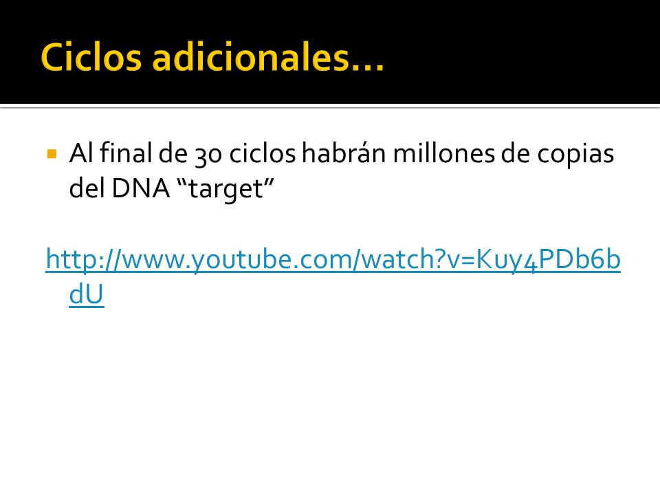 Ciclos adicionales… Al final de 30 ciclos habrán millones de copias del DNA target   v=Kuy4PDb6bdU.
