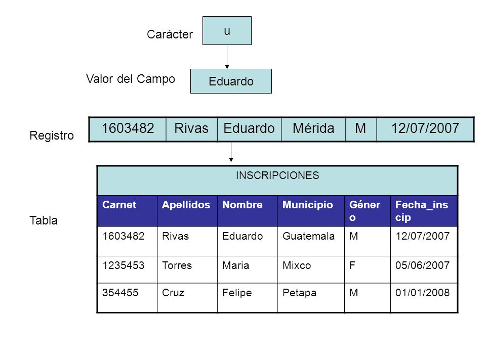 Rivas Eduardo Mérida M 12/07/2007 u Carácter Valor del Campo