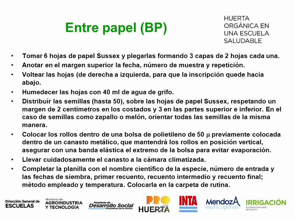 Entre papel (BP) Tomar 6 hojas de papel Sussex y plegarlas formando 3 capas de 2 hojas cada una.
