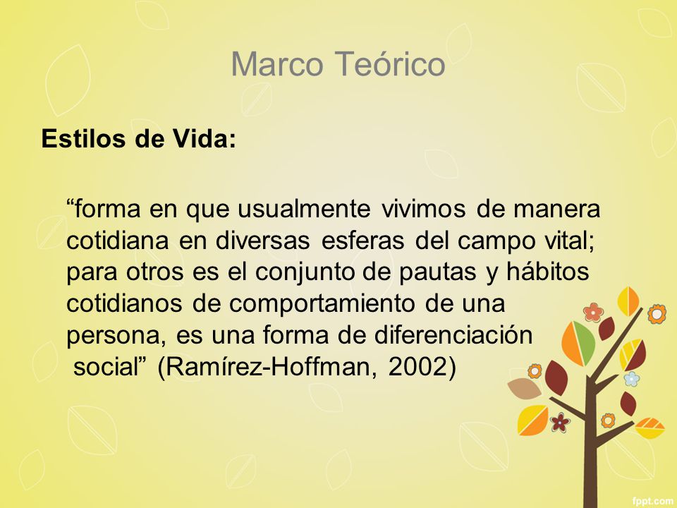 Marco Teórico