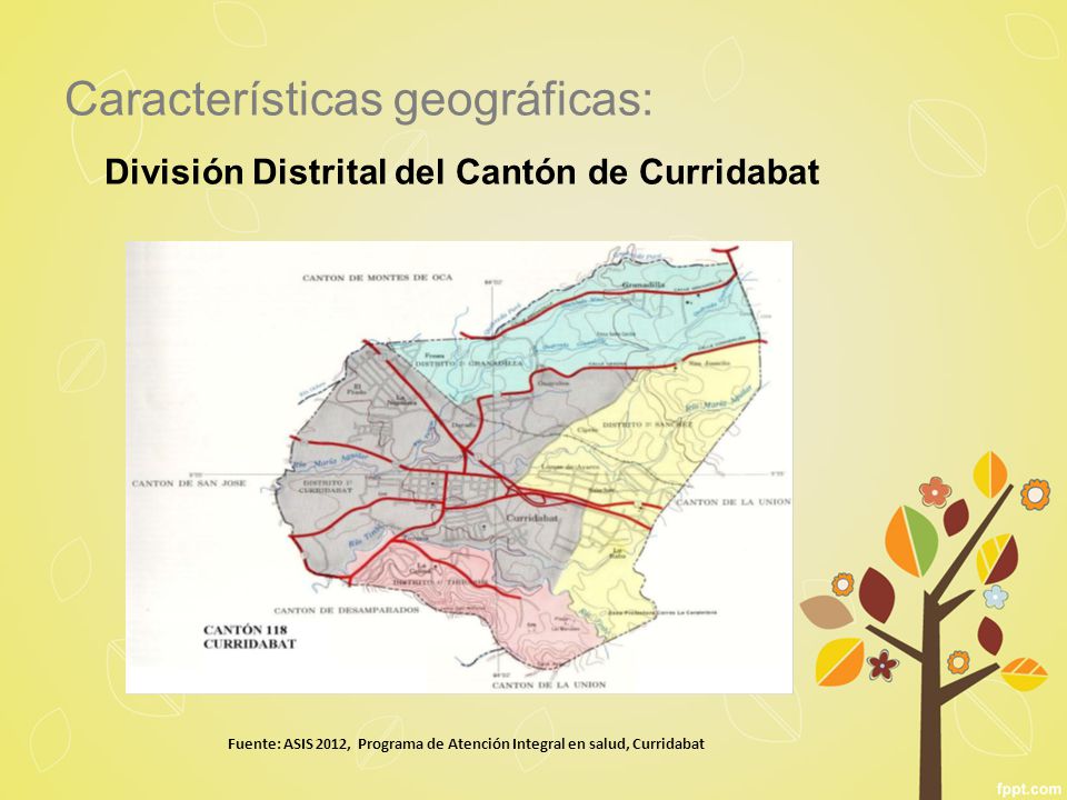 Fuente: ASIS 2012, Programa de Atención Integral en salud, Curridabat