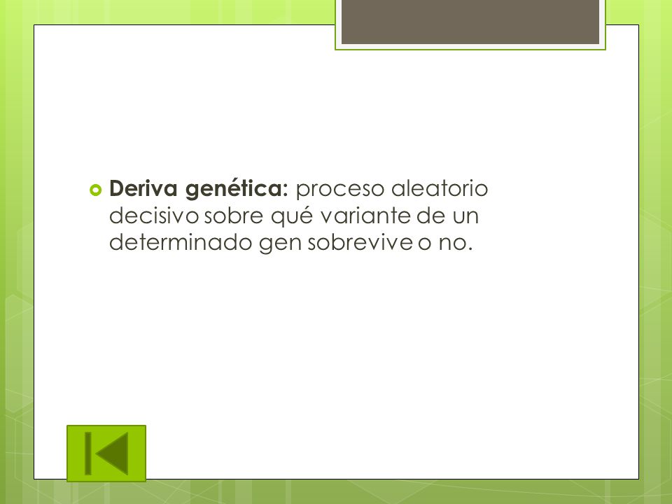 Deriva genética: proceso aleatorio decisivo sobre qué variante de un determinado gen sobrevive o no.