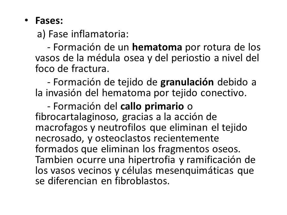 Fases: a) Fase inflamatoria: - Formación de un hematoma por rotura de los vasos de la médula osea y del periostio a nivel del foco de fractura.