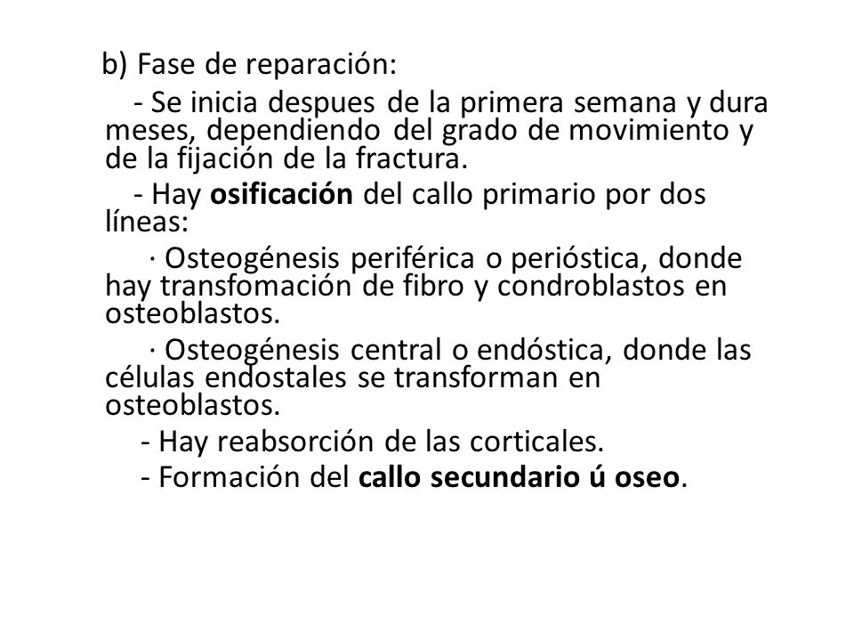 b) Fase de reparación: - Se inicia despues de la primera semana y dura meses, dependiendo del grado de movimiento y de la fijación de la fractura.