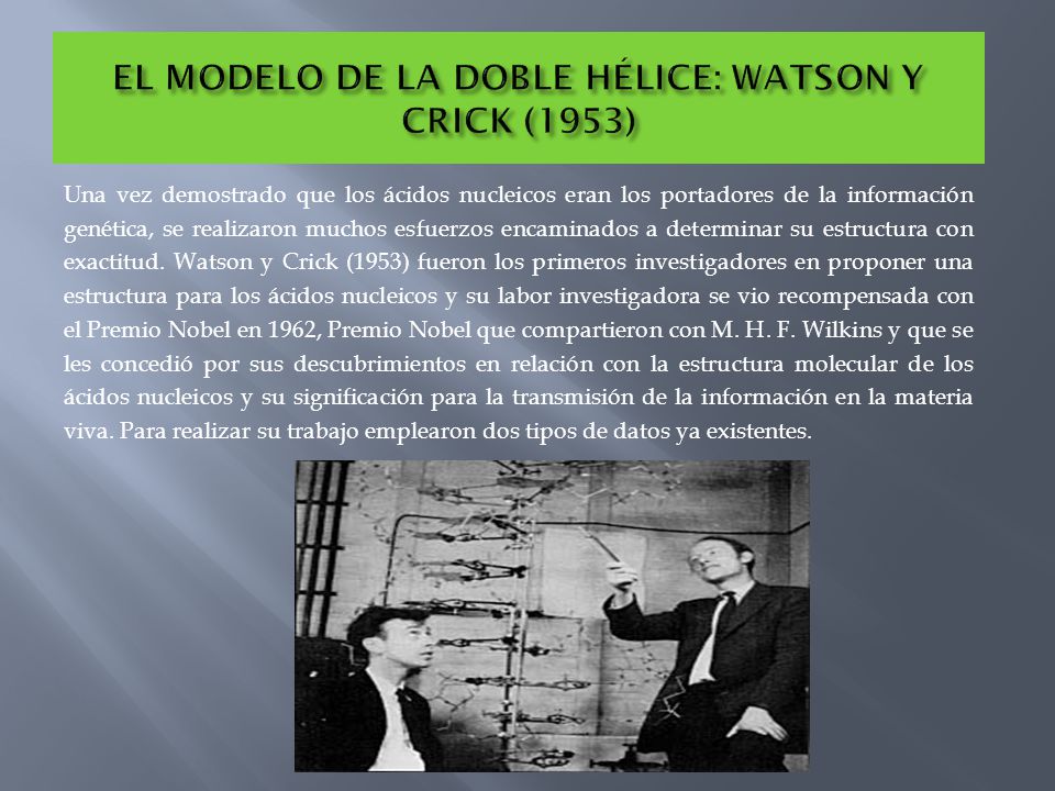 EL MODELO DE LA DOBLE HÉLICE: WATSON Y CRICK (1953)