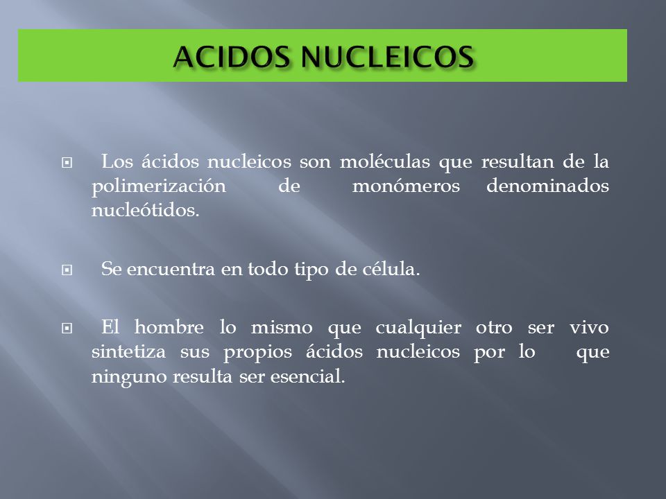 ACIDOS NUCLEICOS Los ácidos nucleicos son moléculas que resultan de la polimerización de monómeros denominados nucleótidos.