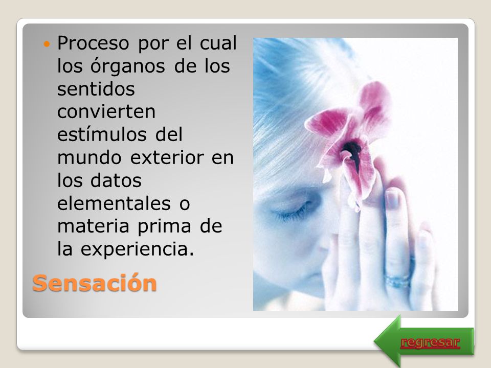 Proceso por el cual los órganos de los sentidos convierten estímulos del mundo exterior en los datos elementales o materia prima de la experiencia.