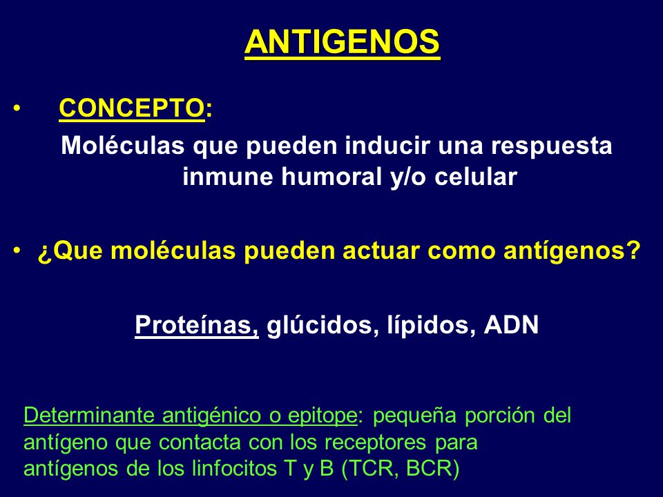 ANTIGENOS CONCEPTO: Moléculas que pueden inducir una respuesta inmune humoral y/o celular. ¿Que moléculas pueden actuar como antígenos