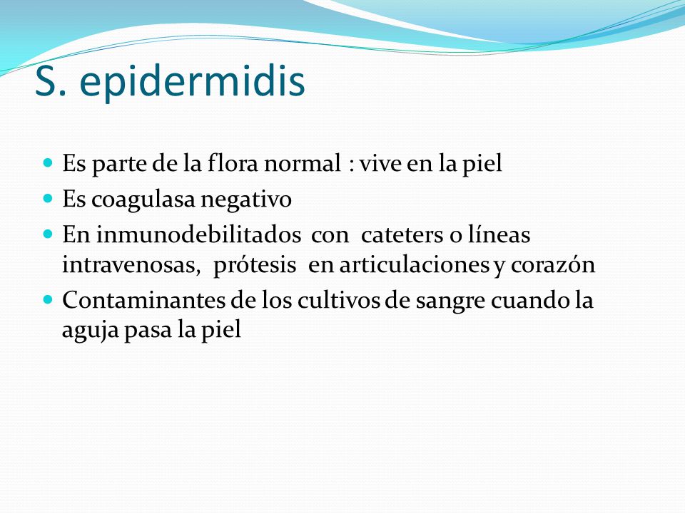 S. epidermidis Es parte de la flora normal : vive en la piel