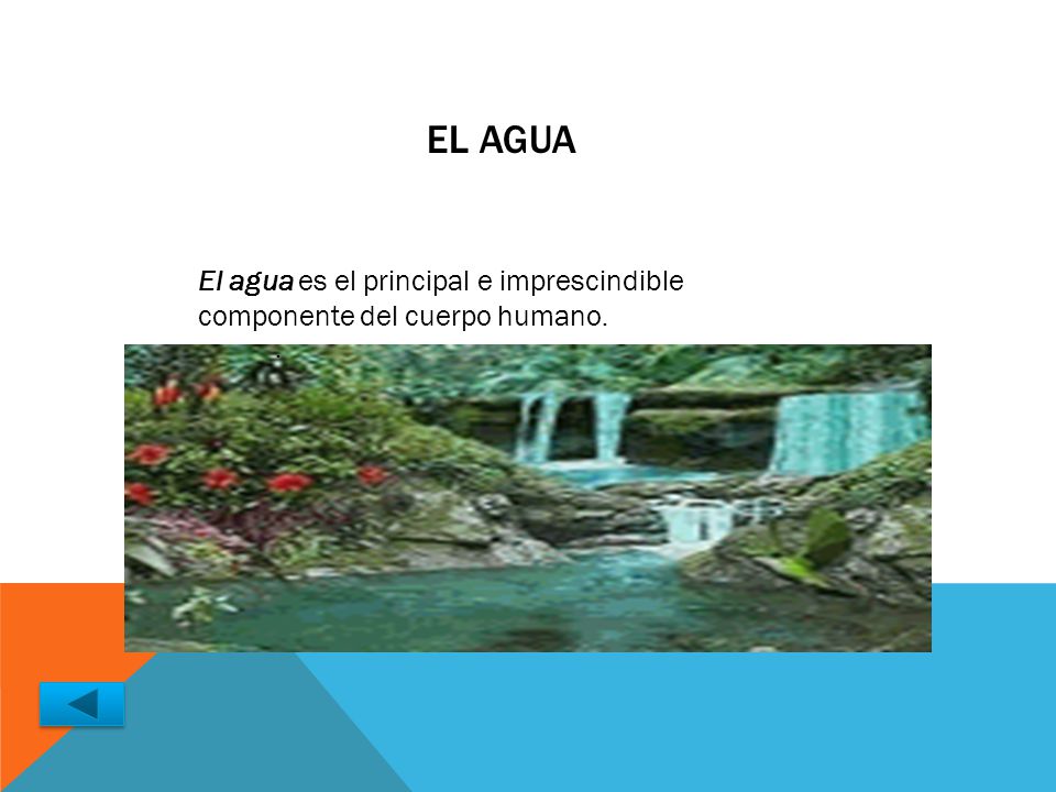 EL AGUA El agua es el principal e imprescindible componente del cuerpo humano. .