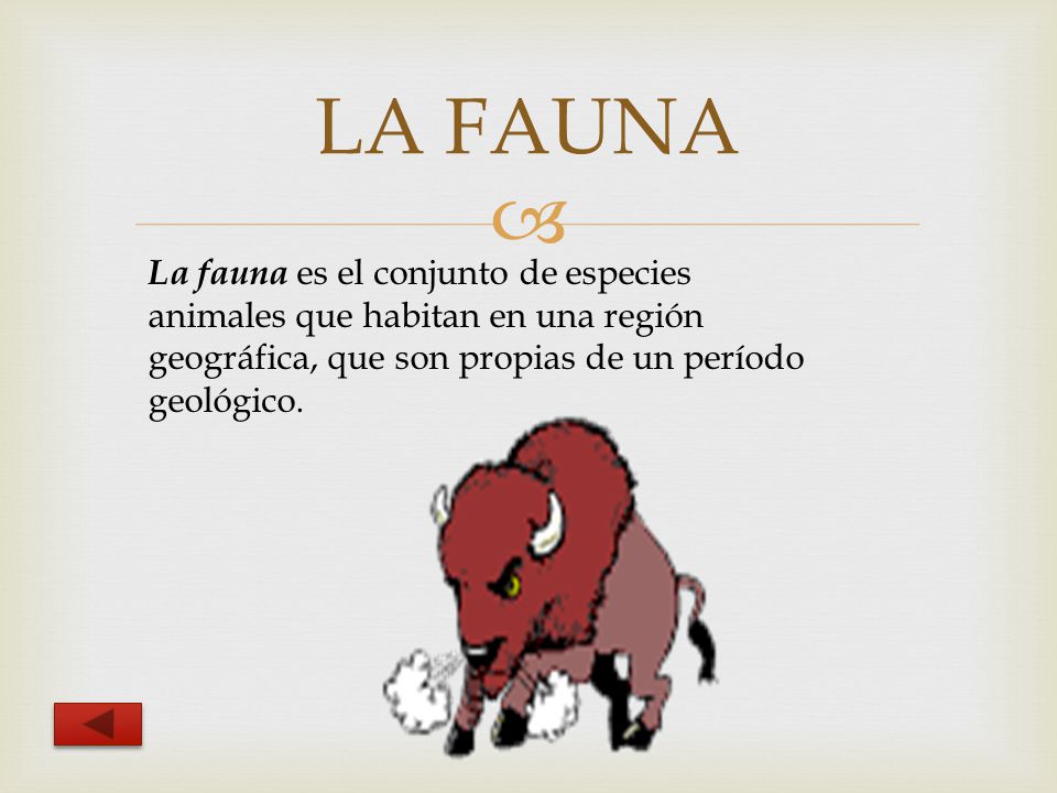 LA FAUNA La fauna es el conjunto de especies animales que habitan en una región geográfica, que son propias de un período geológico.