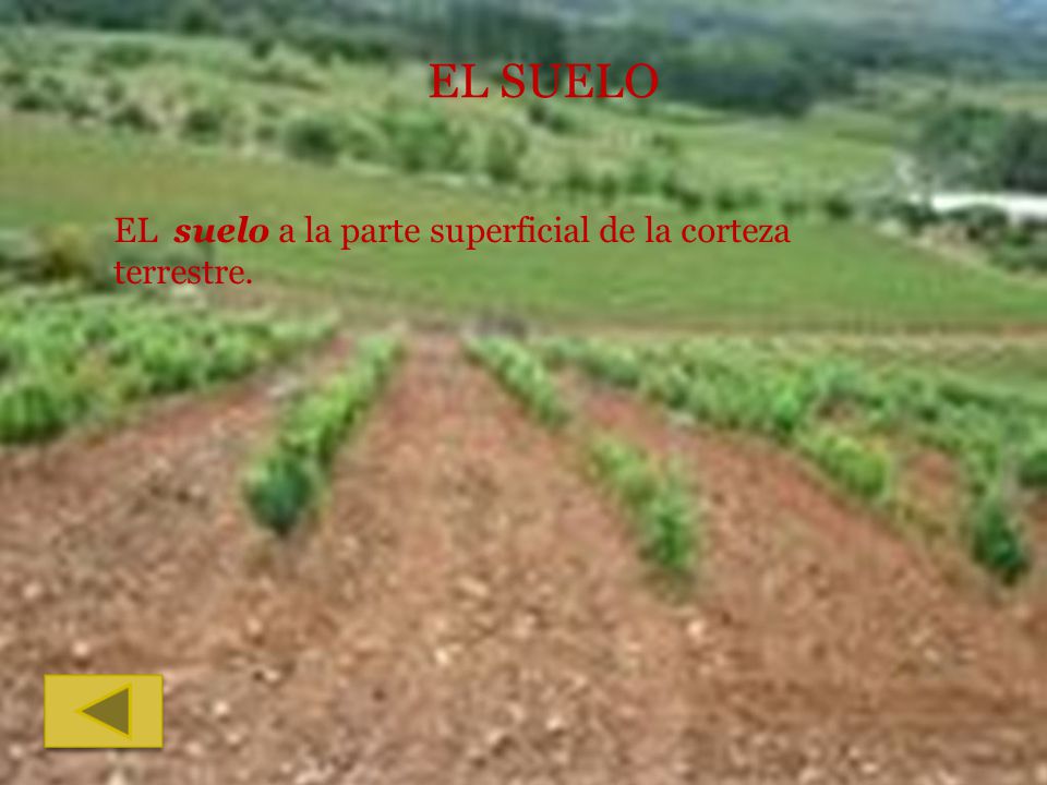 EL SUELO EL suelo a la parte superficial de la corteza terrestre.